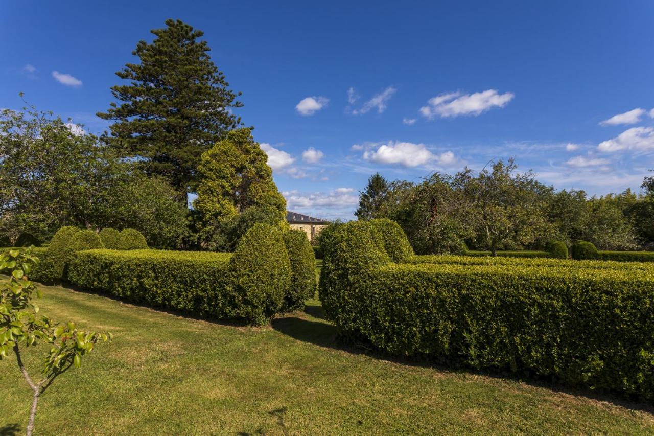 Araucaria House Guest House Barreiros Bagian luar foto